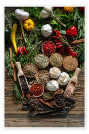 Wandbild Bunte Gewürzvielfalt mit Kräutern und Paprika - Thomas Klee