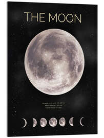 Acrylglasbild The Moon - nobelart