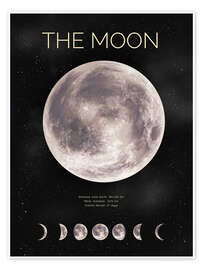 Poster The Moon