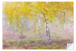 Wandsticker Herbstliche Birke im Nebel - Moqui, Daniela Beyer