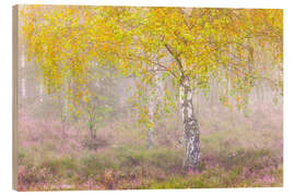 Holzbild Herbstliche Birke im Nebel - Moqui, Daniela Beyer