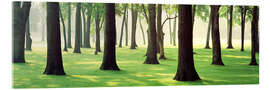 Acrylglasbild Bäume auf einer Rasenfläche