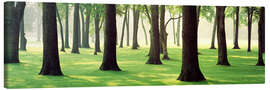 Leinwandbild Bäume auf einer Rasenfläche