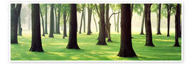Poster Bäume auf einer Rasenfläche