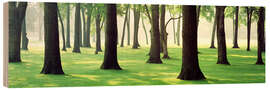 Holzbild Bäume auf einer Rasenfläche