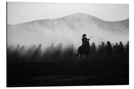 Alumiinitaulu Cowboys and Mustangs