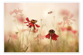 Poster Einfach ein schöner Sommertag - Ellen	van Deelen