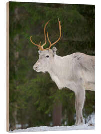 Holzbild Rentier im Schneewald
