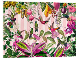 Acrylglasbild Verstecktes exotisches Kolibri-Paradies - Andrea Haase