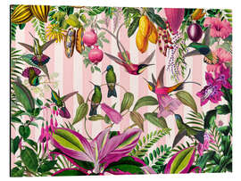 Alubild Verstecktes exotisches Kolibri-Paradies - Andrea Haase