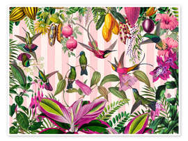 Wandbild Verstecktes exotisches Kolibri-Paradies - Andrea Haase
