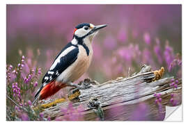 Wandsticker Buntspecht in der Heide - Christian Müringer