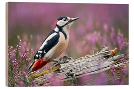 Holzbild Buntspecht in der Heide - Christian Müringer