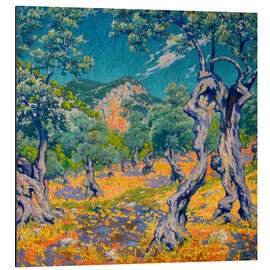 Alubild Olivenhain - Josep Pons Frau