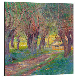 Alubild Kopfweiden in Weyer, 1909 - Franz Jaschke