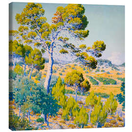 Leinwandbild Kiefern in voller Sonne - Josep Pons Frau