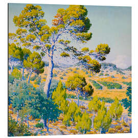 Magnettafel Kiefern in voller Sonne