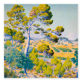 Wandbild Kiefern in voller Sonne - Josep Pons Frau