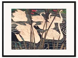 Gerahmter Kunstdruck Schwäne