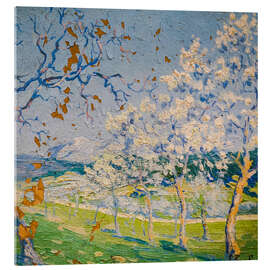 Acrylglasbild Mallorquine Landschaft