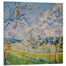 Alubild Mallorquine Landschaft