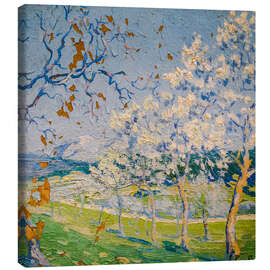 Leinwandbild Mallorquine Landschaft