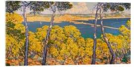 Acrylglasbild Blick auf Palma vom Wald Bellver aus - Josep Pons Frau