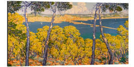 Alubild Blick auf Palma vom Wald Bellver aus - Josep Pons Frau