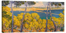 Leinwandbild Blick auf Palma vom Wald Bellver aus - Josep Pons Frau