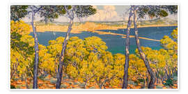 Wandbild Blick auf Palma vom Wald Bellver aus - Josep Pons Frau