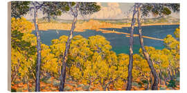 Holzbild Blick auf Palma vom Wald Bellver aus - Josep Pons Frau