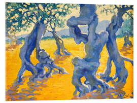 Acrylglasbild Olivenhain - Josep Pons Frau