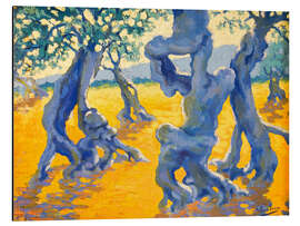 Alubild Olivenhain - Josep Pons Frau