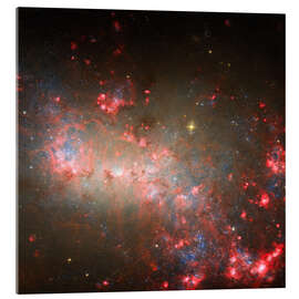 Acrylglasbild Zwerggalaxie NGC 4449 - NASA