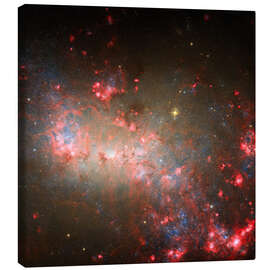 Leinwandbild Zwerggalaxie NGC 4449 - NASA