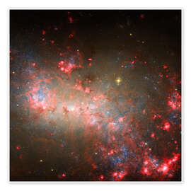 Poster Zwerggalaxie NGC 4449 - NASA