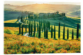 Acrylglasbild Abendlicht über Podere Baccoleno, Toskana - Nadia Isakova