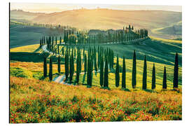 Alubild Abendlicht über Podere Baccoleno, Toskana - Nadia Isakova