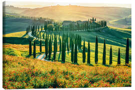 Leinwandbild Abendlicht über Podere Baccoleno, Toskana - Nadia Isakova