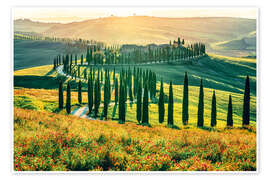 Poster Abendlicht über Podere Baccoleno, Toskana - Nadia Isakova