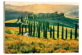 Holzbild Abendlicht über Podere Baccoleno, Toskana - Nadia Isakova
