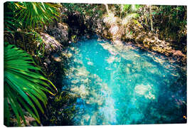 Leinwandbild Cueva de los Peces, Kuba
