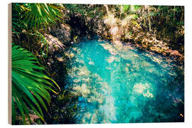 Stampa su legno Cueva de los Peces, Cuba