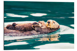 Alubild Seeotter Mutter und Junges im Inian Pass, Alaska - Michael Nolan