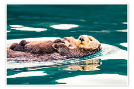Wandbild Seeotter Mutter und Junges im Inian Pass, Alaska - Michael Nolan
