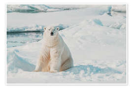 Wandbild Eisbär auf Eisscholle in Spitzbergen - Michael Nolan