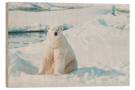 Holzbild Eisbär auf Eisscholle in Spitzbergen - Michael Nolan