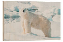 Holzbild Eisbär auf einer Eisscholle - Michael Nolan