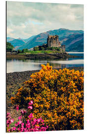 Aluminium print Spring Flowers and the Eilean Donan Castle, Scotland - Robert Francis