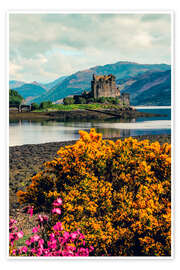 Poster Frühlingsblumen und das Eilean Donan Castle, Schottland - Robert Francis